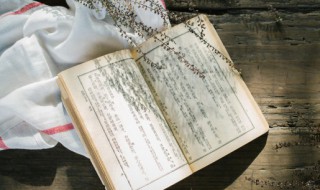 牝牡是什么意思（骊黄牝牡是什么意思）