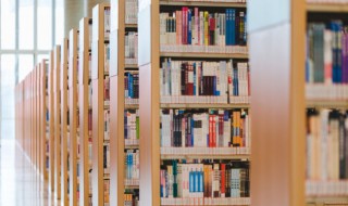 群魔乱舞是什么意思（跟群魔乱舞意思相近的）