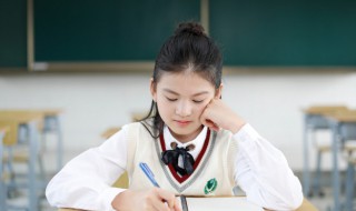 insight是什么意思