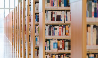 淌可以组什么词（淌可以组什么词 百度网盘）