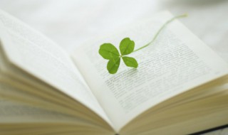 青可以组什么词（卿可以组什么词）