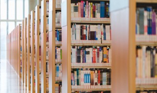 挠可以组什么词（挠可以组什么词语有哪些）