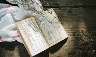 供可以组什么词（哄可以组什么词）