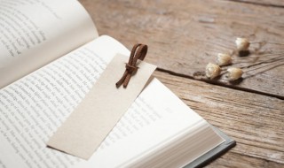 狐可以组什么词（狐可以组什么词语和拼音）