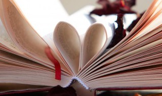 该可以组什么词 该可以组什么词语