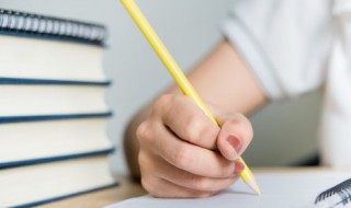 背可以组什么词 背上的背可以组什么词