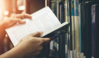 单可以组什么词 蝉可以组什么词?