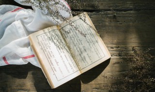 陆可以组什么词（降可以组什么词）