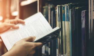 麦可以组什么词（麦苗的麦可以组什么词）