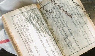 杨可以组什么词 壮可以组什么词