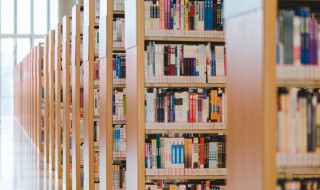 痒可以组什么词（痒可以组什么词语）