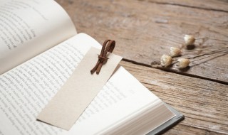 垂可以组什么词（垂可以组什么词二年级）