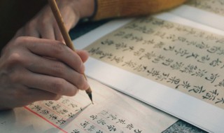 成可以组什么词 盛可以组什么词语