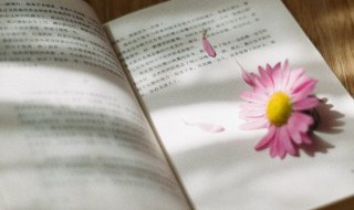 田可以组什么词（思可以组什么词?）