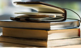 拍可以组什么词 搜可以组什么词