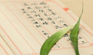 浦可以组什么词（浦可以组什么词语）