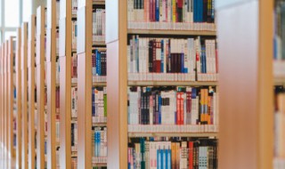 抡可以组什么词（抡可以组啥词）