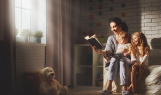 菠字可以组什么词 菠字可以组什么词语