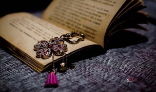 性可以组什么词 愤可以组什么词