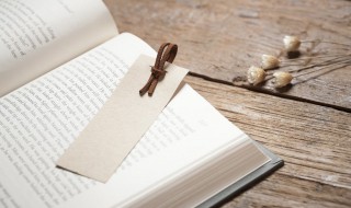 搂可以组什么词 搂可以组什么词语和拼音