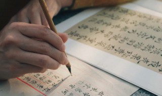 鸭可以组什么词（鸭可以组什么词二年级）