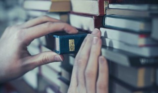 记可以组什么词（季可以组什么词）