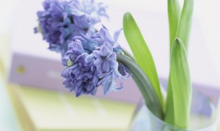 网可以组什么词（网可以组什么词不是这个网）