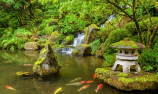 生态园是什么意思（生态园是什么意思?）