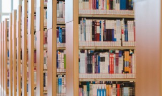 源可以组什么词（源可以组什么词语有哪些）