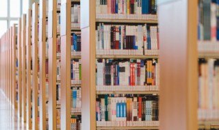 举其一端是什么意思（举其一端是什么意思解释）