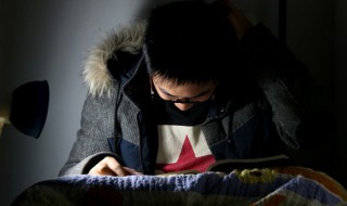 杉是什么意思（水杉是什么意思）