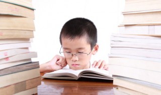 杨字的右边的字怎么读（杨字的右边念什么字）