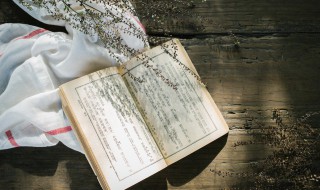 半点朱唇万客尝是谁的典故（一点朱唇万人尝出自哪里）
