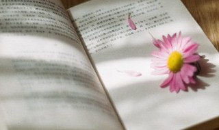 不辞冰雪是谁的典故（冰雪聪明典故）