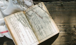 七步之才的典故主人公是谁（七步之才的典故主人公是谁写的）