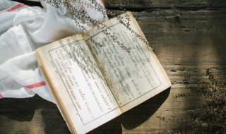 尘世难逢开口笑是用谁的典故 尘世难逢开口笑后面一句是什么