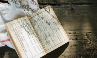 门客斗富是谁的典故 门客斗富是谁的典故